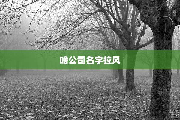 啥公司名字拉风