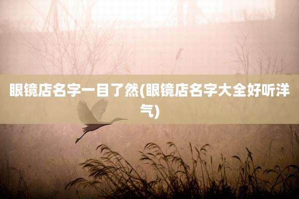 眼镜店名字一目了然(眼镜店名字大全好听洋气)
