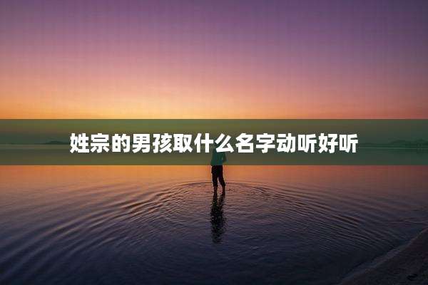 姓宗的男孩取什么名字动听好听