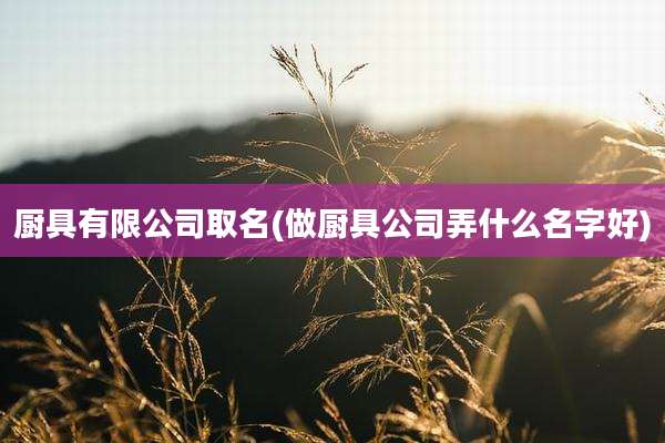 厨具有限公司取名(做厨具公司弄什么名字好)