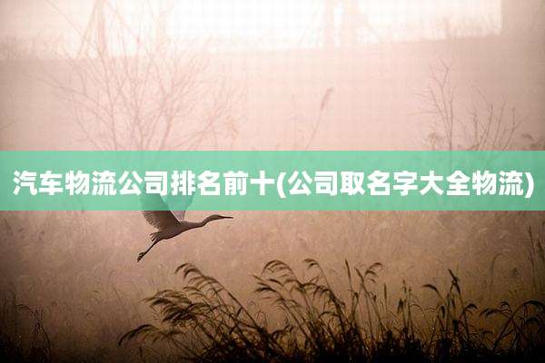 汽车物流公司排名前十(公司取名字大全物流)