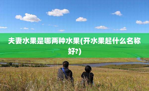 夫妻水果是哪两种水果(开水果起什么名称好?)