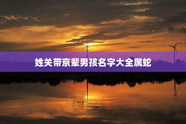 姓关带京辈男孩名字大全属蛇