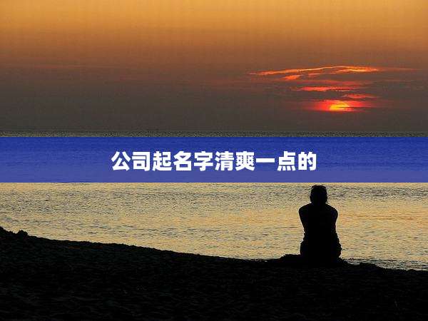 公司起名字清爽一点的