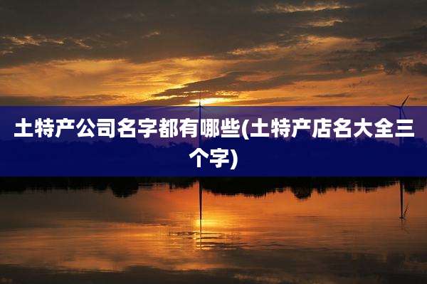 土特产公司名字都有哪些(土特产店名大全三个字)
