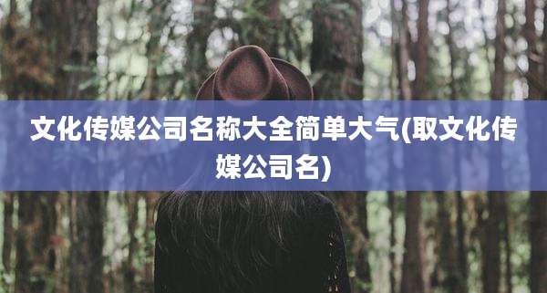 文化传媒公司名称大全简单大气(取文化传媒公司名)