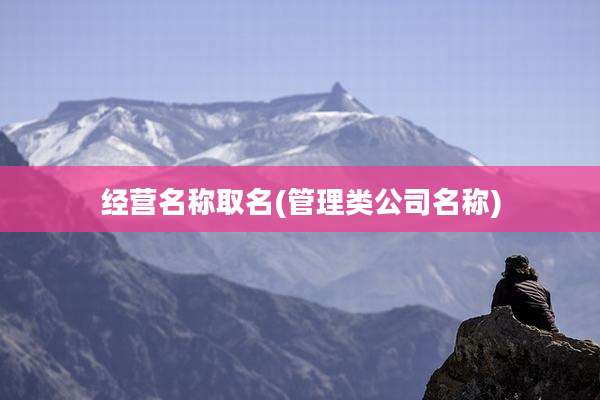 经营名称取名(管理类公司名称)