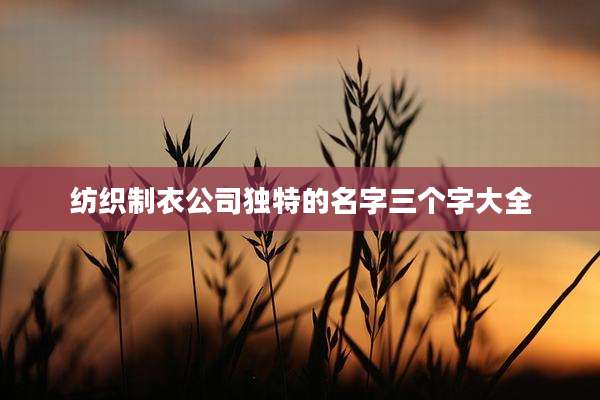 纺织制衣公司独特的名字三个字大全