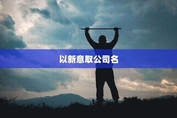 以新意取公司名