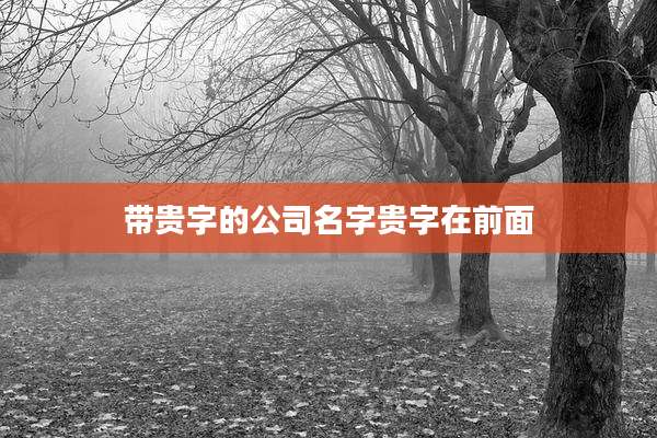 带贵字的公司名字贵字在前面