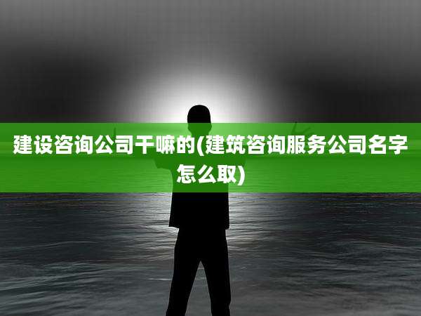 建设咨询公司干嘛的(建筑咨询服务公司名字怎么取)