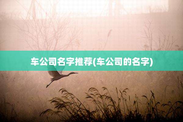 车公司名字推荐(车公司的名字)