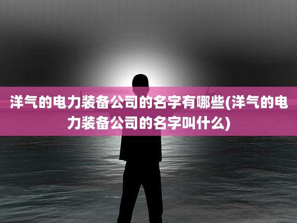 洋气的电力装备公司的名字有哪些(洋气的电力装备公司的名字叫什么)