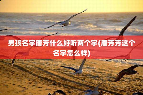 男孩名字唐芳什么好听两个字(唐芳芳这个名字怎么样)