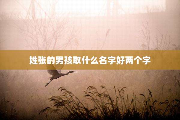 姓张的男孩取什么名字好两个字