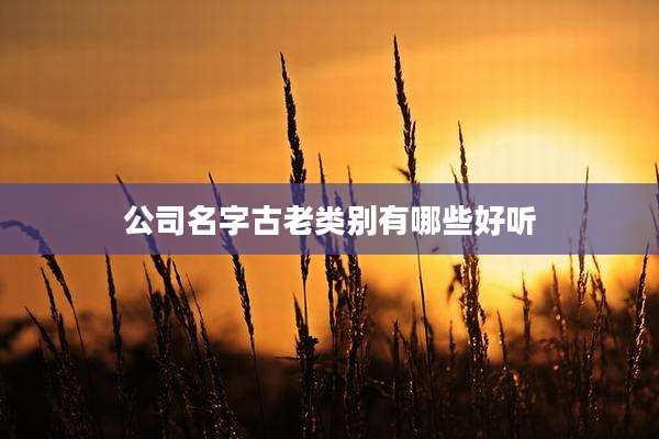 公司名字古老类别有哪些好听