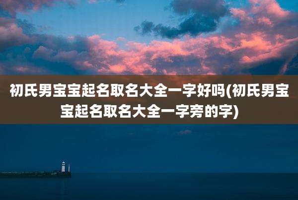 初氏男宝宝起名取名大全一字好吗(初氏男宝宝起名取名大全一字旁的字)