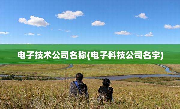 电子技术公司名称(电子科技公司名字)