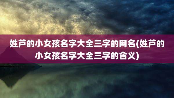 姓芦的小女孩名字大全三字的网名(姓芦的小女孩名字大全三字的含义)