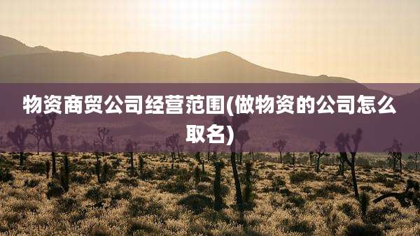 物资商贸公司经营范围(做物资的公司怎么取名)