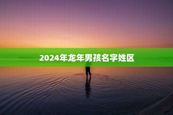 2024年龙年男孩名字姓区