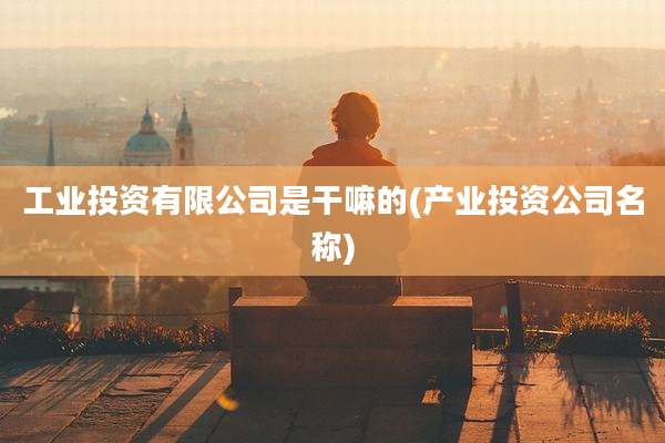 工业投资有限公司是干嘛的(产业投资公司名称)