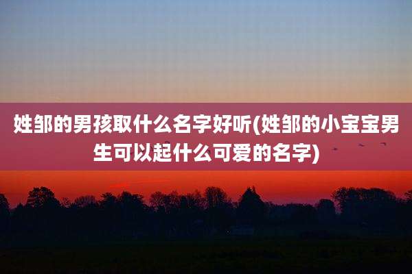 姓邹的男孩取什么名字好听(姓邹的小宝宝男生可以起什么可爱的名字)