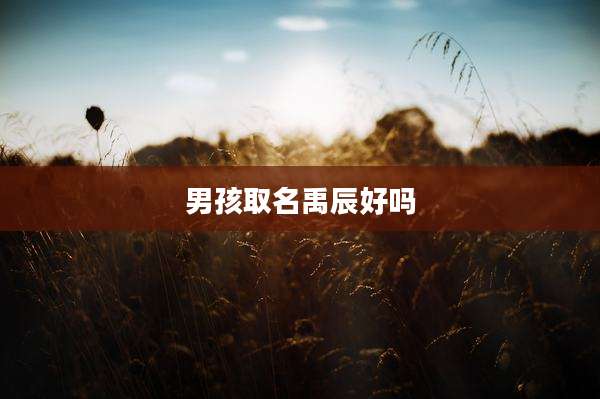 男孩取名禹辰好吗