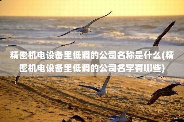 精密机电设备里低调的公司名称是什么(精密机电设备里低调的公司名字有哪些)