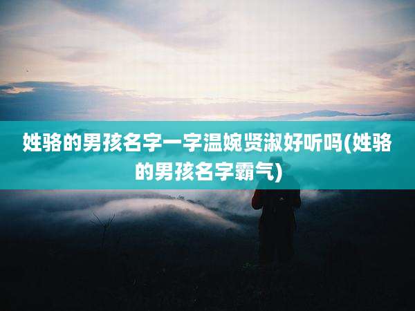 姓骆的男孩名字一字温婉贤淑好听吗(姓骆的男孩名字霸气)