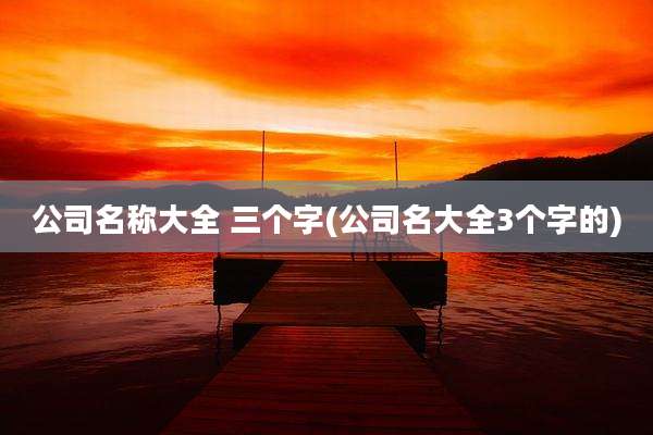 公司名称大全 三个字(公司名大全3个字的)