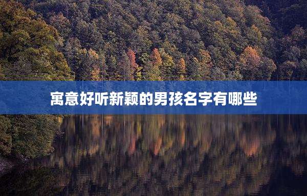 寓意好听新颖的男孩名字有哪些
