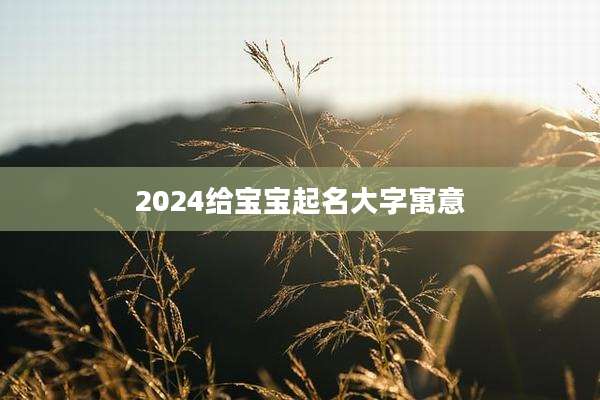 2024给宝宝起名大字寓意