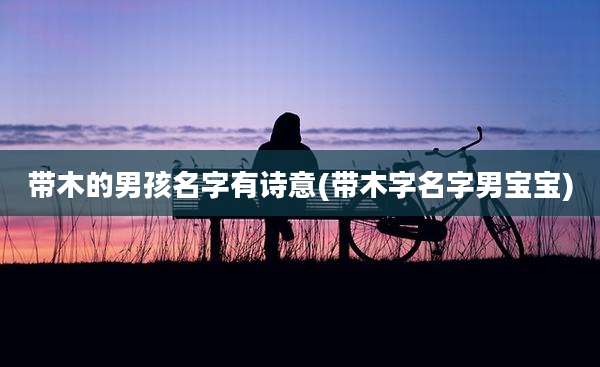 带木的男孩名字有诗意(带木字名字男宝宝)