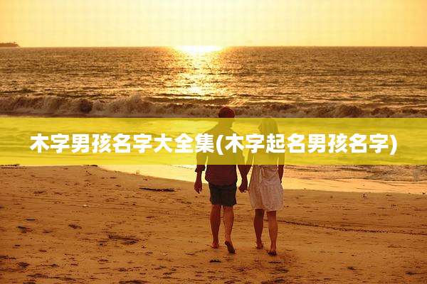 木字男孩名字大全集(木字起名男孩名字)