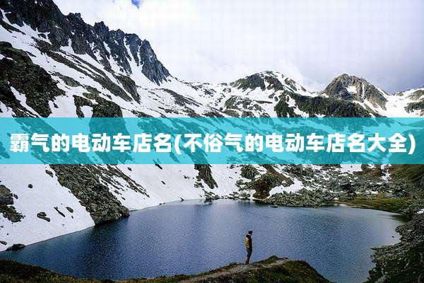 霸气的电动车店名(不俗气的电动车店名大全)