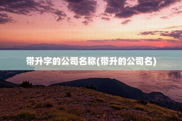 带升字的公司名称(带升的公司名)