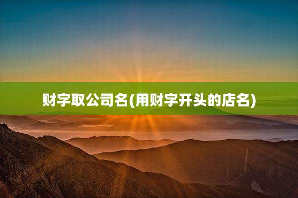 财字取公司名(用财字开头的店名)
