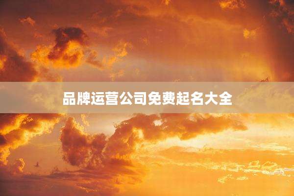 品牌运营公司免费起名大全