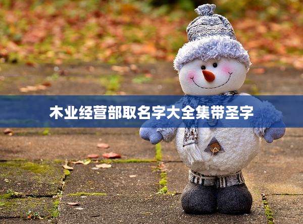 木业经营部取名字大全集带圣字