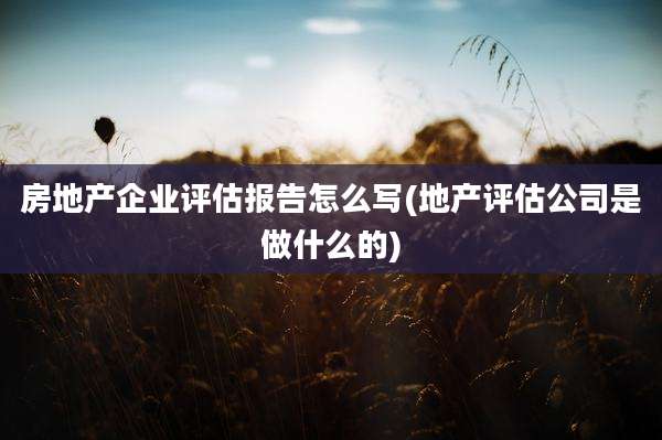 房地产企业评估报告怎么写(地产评估公司是做什么的)