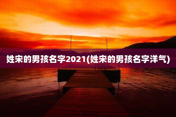 姓宋的男孩名字2021(姓宋的男孩名字洋气)