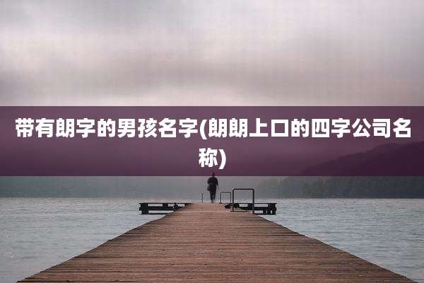 带有朗字的男孩名字(朗朗上口的四字公司名称)