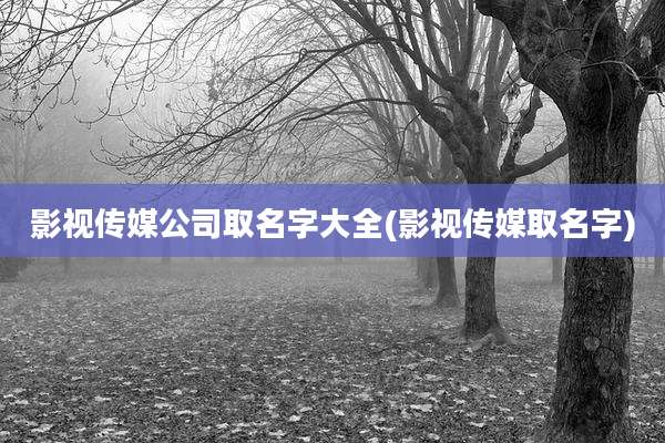 影视传媒公司取名字大全(影视传媒取名字)
