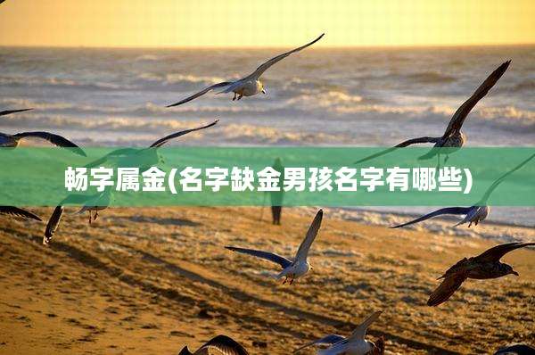 畅字属金(名字缺金男孩名字有哪些)