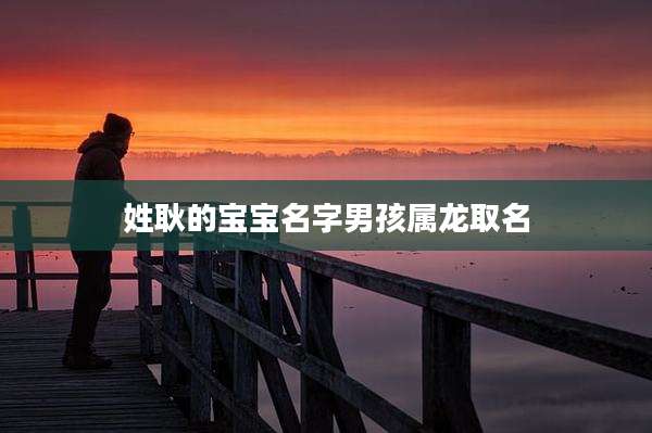 姓耿的宝宝名字男孩属龙取名