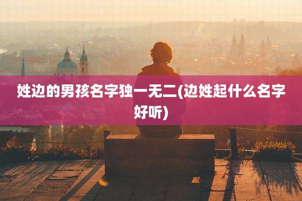 姓边的男孩名字独一无二(边姓起什么名字好听)