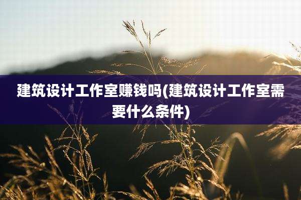 建筑设计工作室赚钱吗(建筑设计工作室需要什么条件)