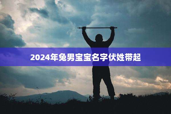 2024年兔男宝宝名字伏姓带起