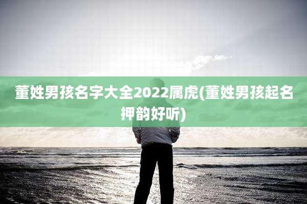 董姓男孩名字大全2022属虎(董姓男孩起名押韵好听)